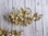Fascinator Gold - 2 Blätter Haarspangen mit Zierperlen und Strass Steinen